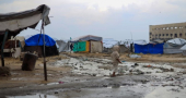 Palestine Humanitarian Aid 2026: Complete Registration Guide & Cash Assistance Updates